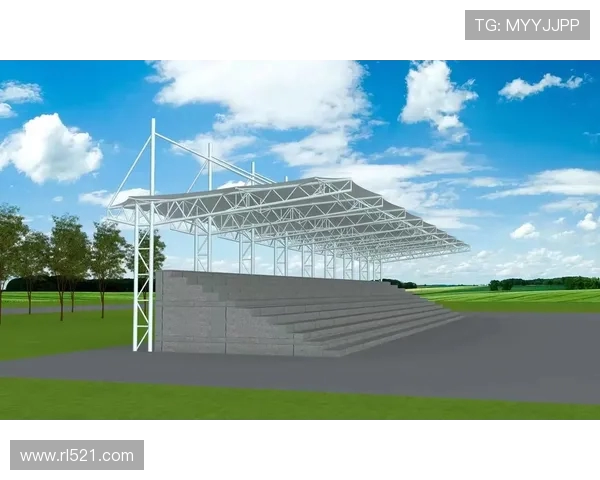 体育场馆内的模块化看台设计与应用